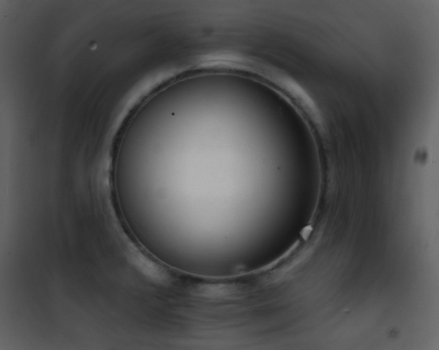 X0000101971376200807181054
