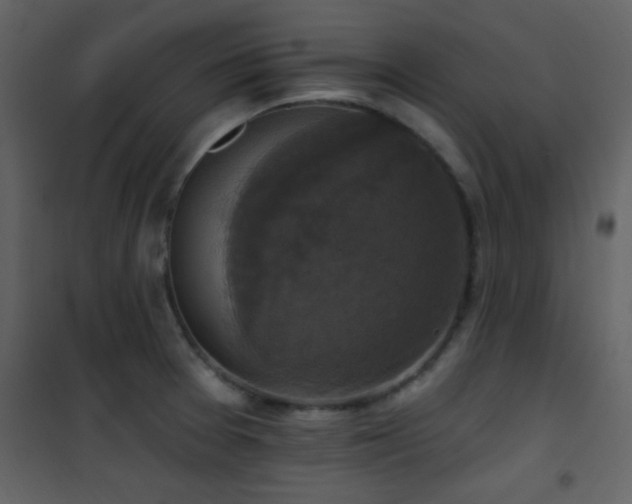 X0000101971377200807181054
