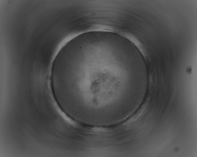X0000101971379200807181054