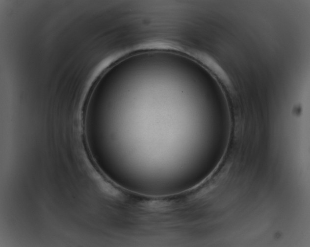 X0000101971380200807181054