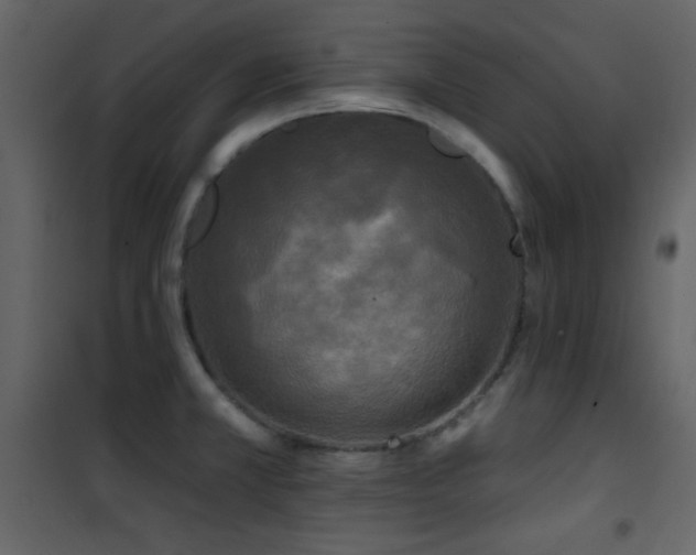 X0000101971381200807181054