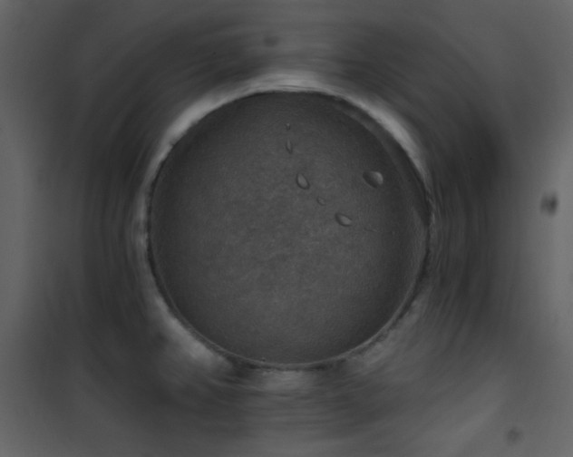 X0000101971382200807181054
