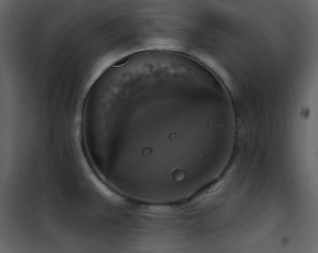X0000101971383200807181054