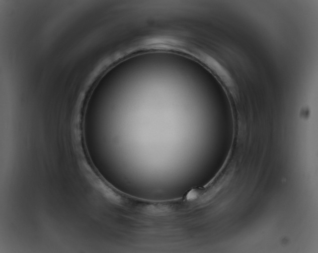 X0000101971384200807181054