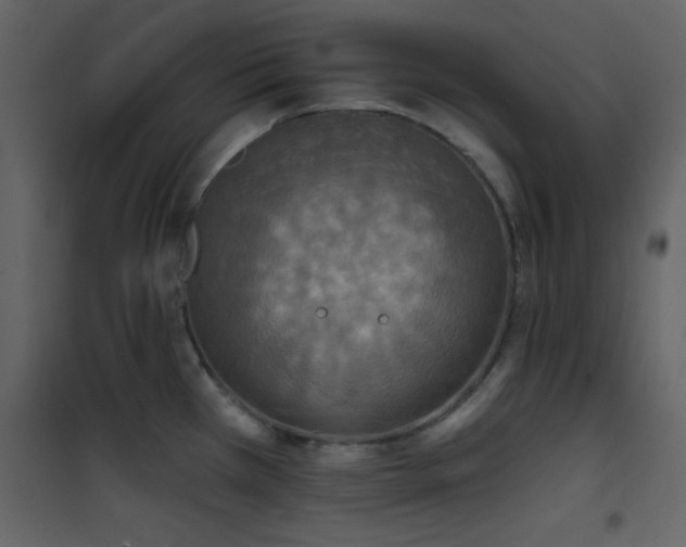 X0000101971385200807181054