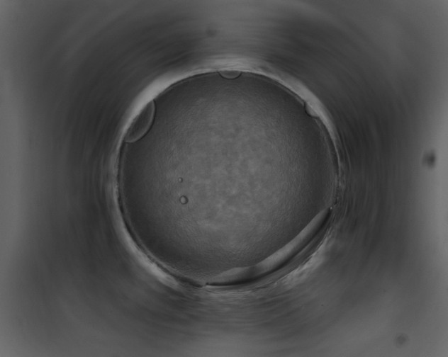 X0000101971389200807181054