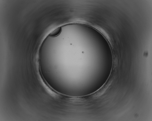 X0000101971391200807181054