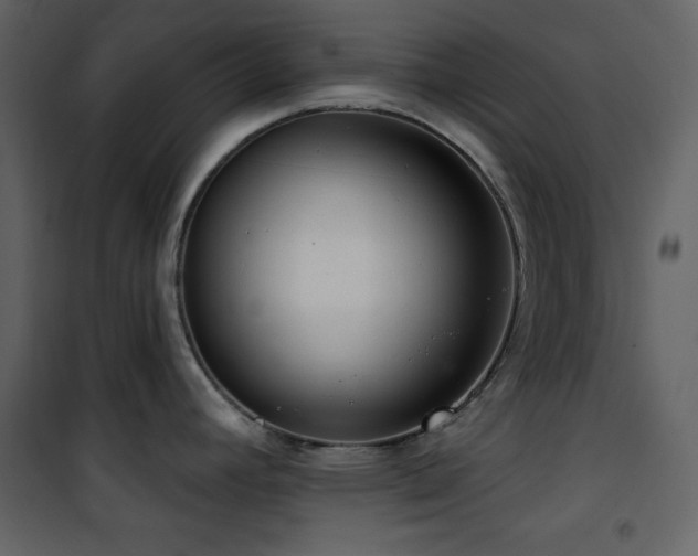 X0000101971392200807181054