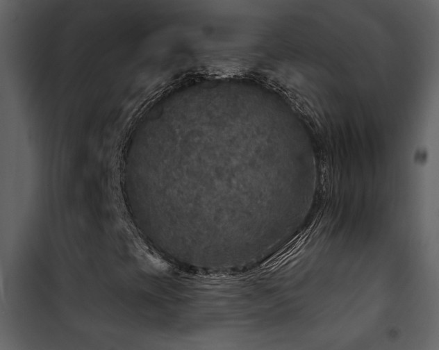 X0000101971393200807181053