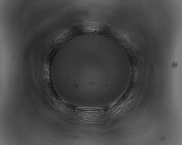 X0000101971394200807181053