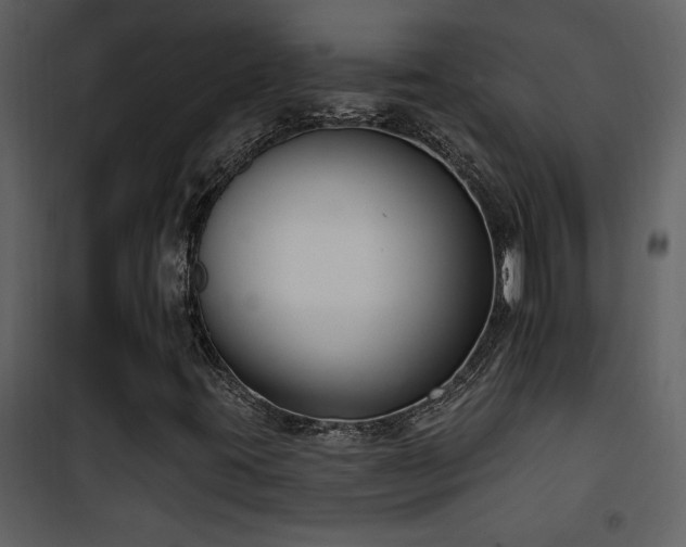 X0000101971395200807181053