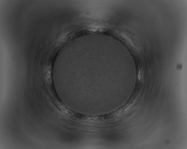 X0000101971396200807181053
