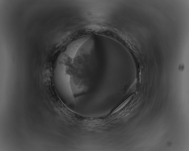 X0000101971397200807181053
