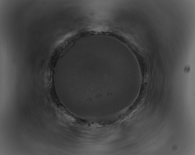 X0000101971398200807181053