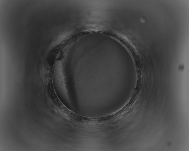 X0000101971399200807181053
