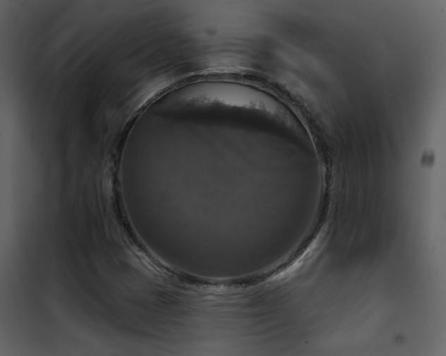 X0000101971401200807181053