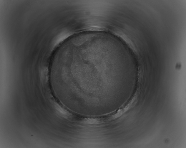 X0000101971402200807181053