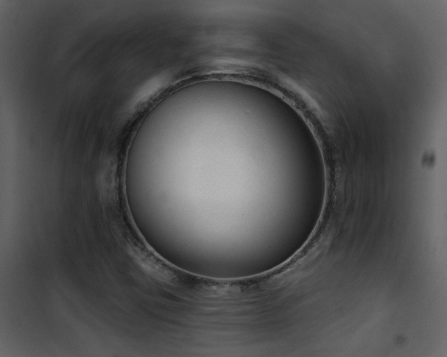 X0000101971403200807181053