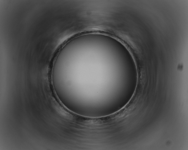 X0000101971404200807181053