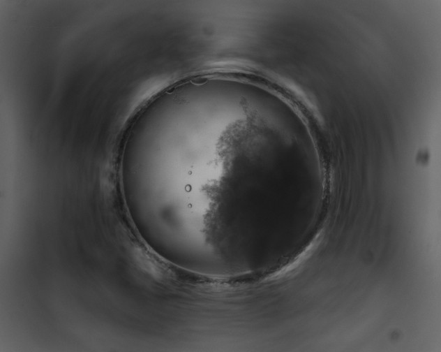 X0000101971405200807181053