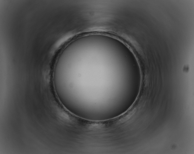 X0000101971406200807181053