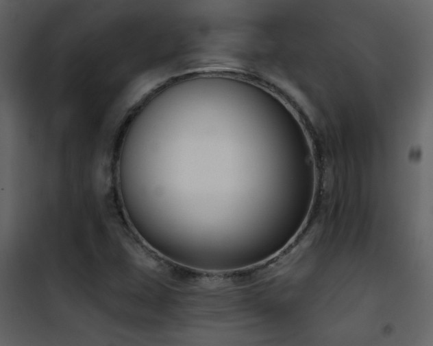 X0000101971407200807181053
