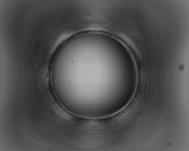 X0000101971408200807181053