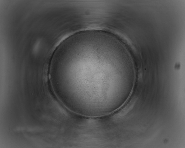 X0000101971409200807181053