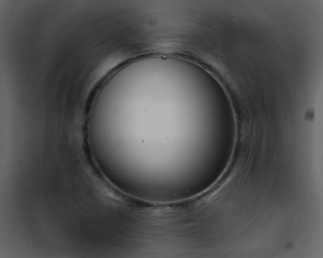 X0000101971410200807181053