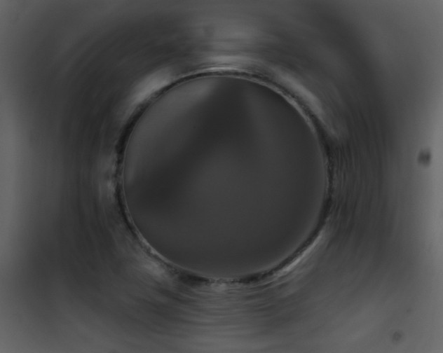 X0000101971411200807181053