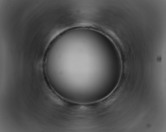 X0000101971412200807181053