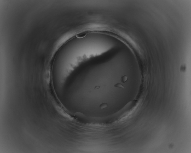 X0000101971413200807181054