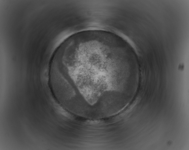X0000101971415200807181054