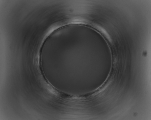 X0000101971419200807181054