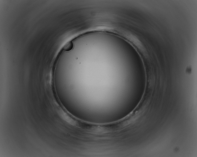 X0000101971420200807181054