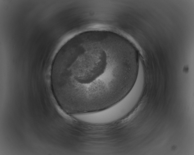 X0000101971421200807181054