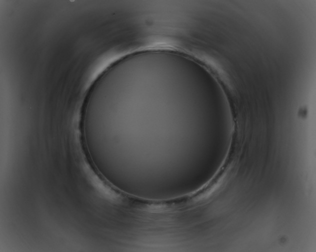 X0000101971422200807181054