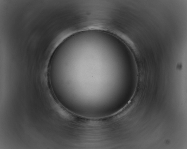 X0000101971423200807181054