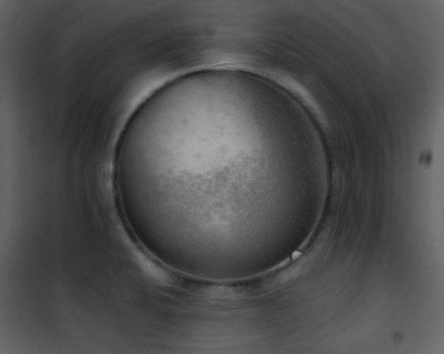 X0000101971424200807181054