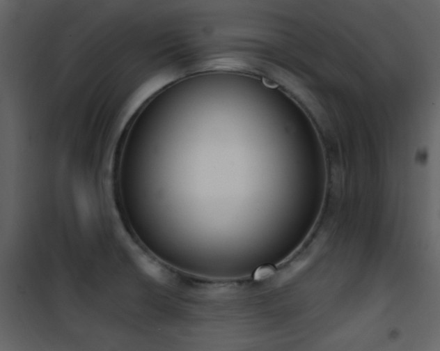X0000101971426200807181054