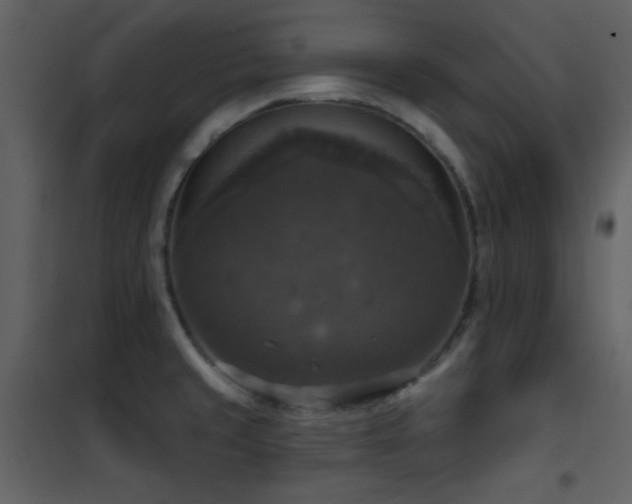 X0000101971429200807181054