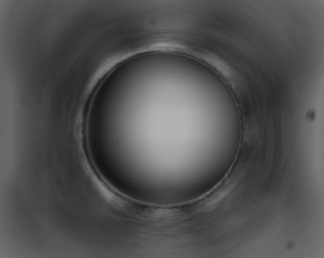 X0000101971430200807181054