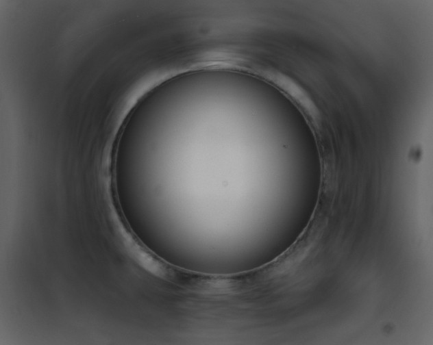 X0000101971431200807181054