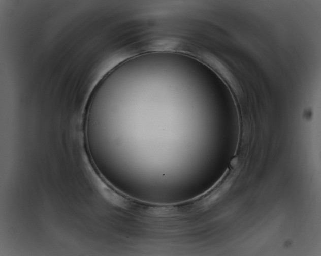 X0000101971434200807181054