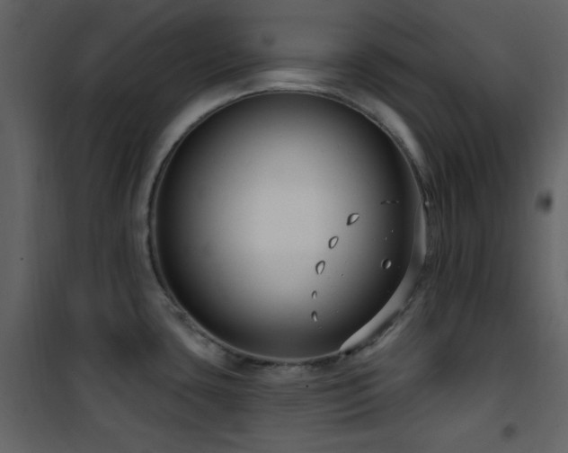 X0000101971435200807181054
