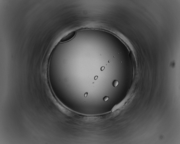 X0000101971437200807181054