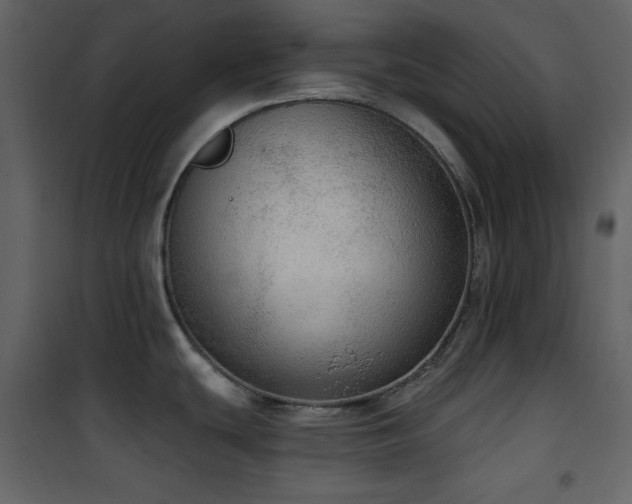 X0000101971439200807181054
