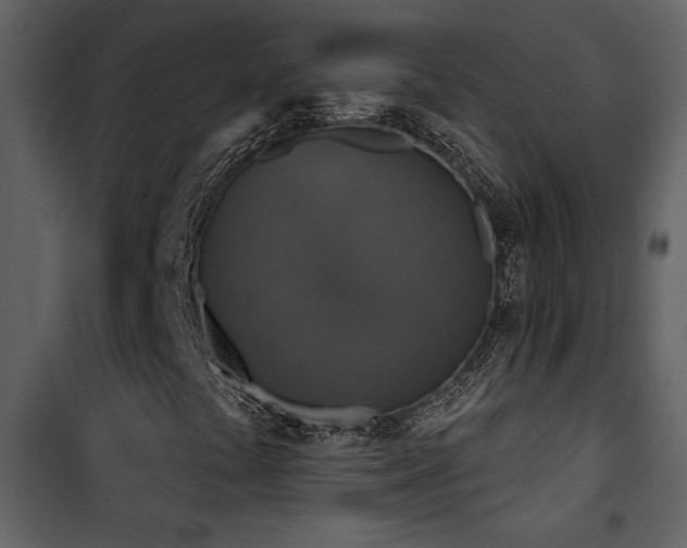 X0000101971441200807181053