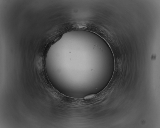 X0000101971442200807181053