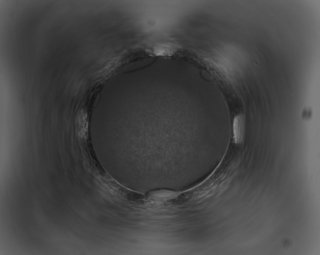 X0000101971443200807181053
